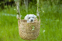 画像をギャラリービューアに読み込む, 福岡県・那珂川市【グランピング五感】2組限定!ペア半額宿泊チケット 「パノラマテラス&ドーム型テント! ナッセ限定12時チェックアウト」1泊2食付2名様利用時70,000円を半額の35,000円