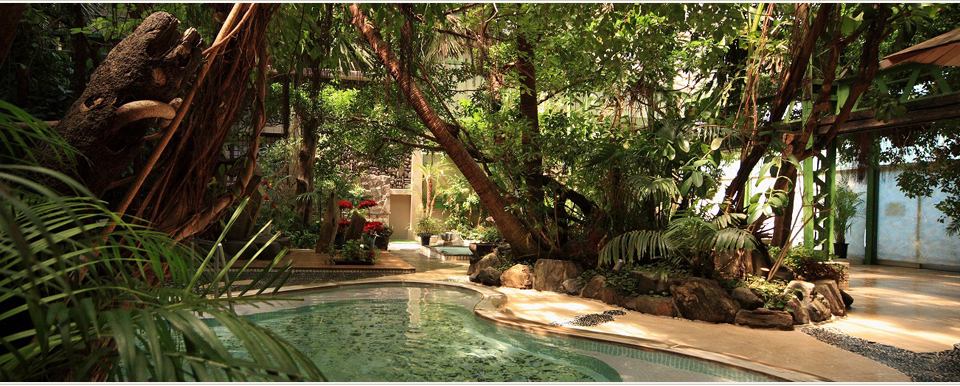 福岡県・朝倉市【原鶴温泉 旅館 泰泉閣】10組限定！ペア半額宿泊